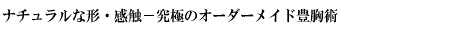 i`Ȍ`EG|ɂ̃I[_[ChLp