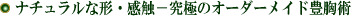 i`Ȍ`EG|ɂ̃I[_[ChLp