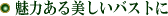 ͂oXg