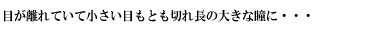 ڂĂďڂƂ؂꒷̑傫ȓ