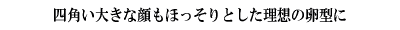 lp傫ȊقƂz̗^