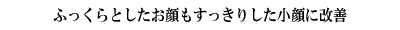 ӂƂ肵ɉP