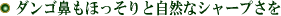 _S@قƎRȃV[v